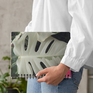 Agenda Floral variada de hojas de monstera