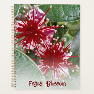 Agenda Florecimiento floral rojo de Nueva Zelanda