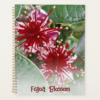 Agenda Florecimiento floral rojo de Nueva Zelanda