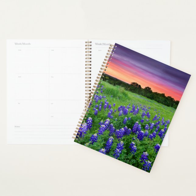 Agenda Flores | Bluebonnets en Sunset Texas (Demostración)