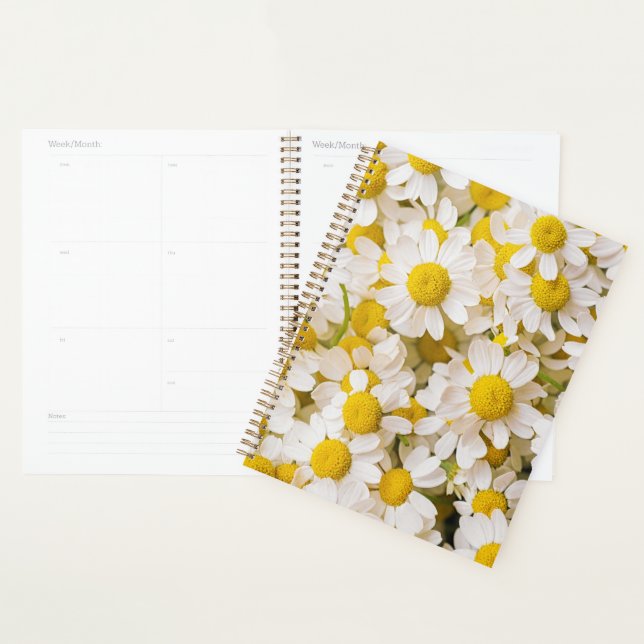Agenda Flores | Bunch of Chamomiles (Demostración)