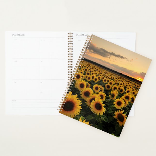 Agenda Flores | Campo de girasol (Demostración)