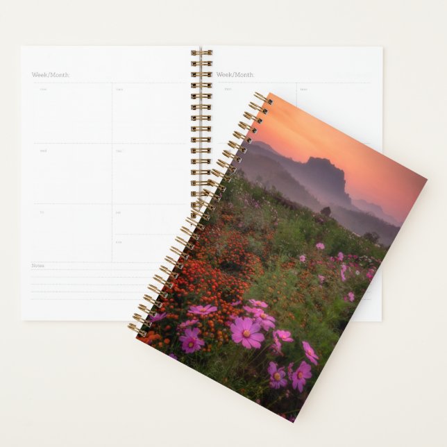 Agenda Flores | Chiang Dao, Chiang Mai, Tailandia (Demostración)
