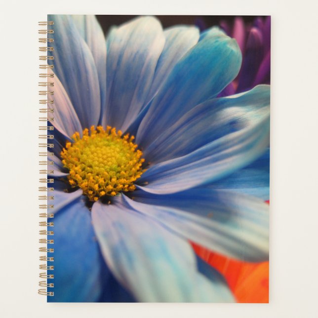 Agenda Flores Coloridas (Anverso)