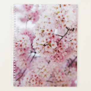 Agenda Flores de cerezo