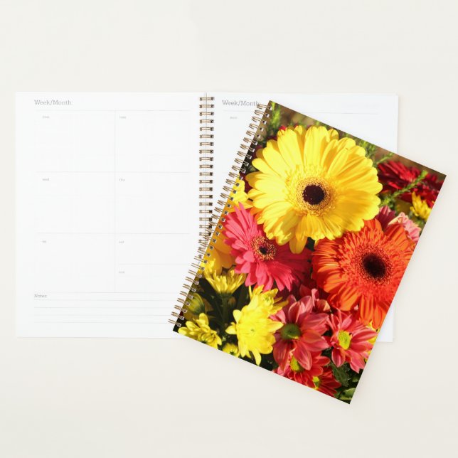 Agenda Flores de crisantemo de Gerbera roja amarilla (Demostración)