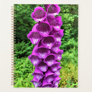 Agenda Flores de Foxglove, Oregón