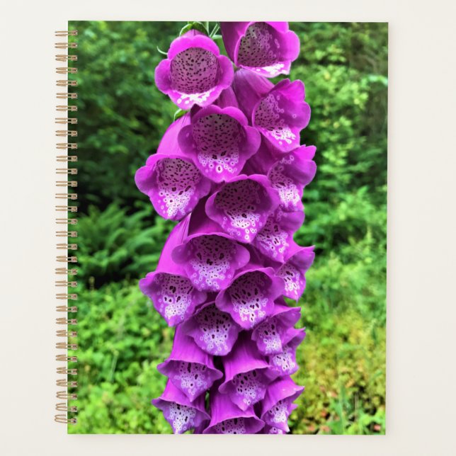 Agenda Flores de Foxglove, Oregón (Anverso)