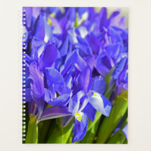 Agenda Flores de iris