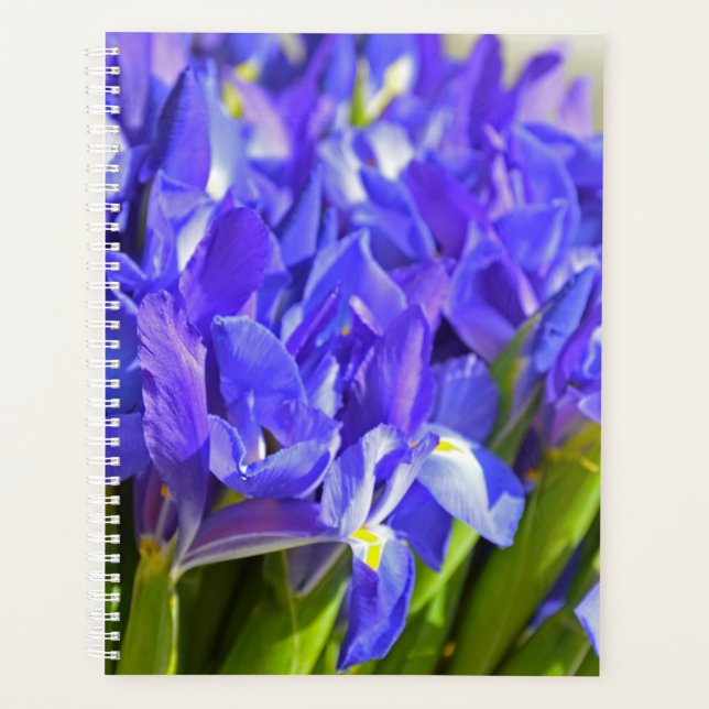 Agenda Flores de iris (Anverso)