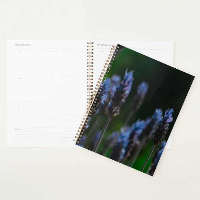 Agenda Flores de lavanda azul púrpura pastel (Demostración)