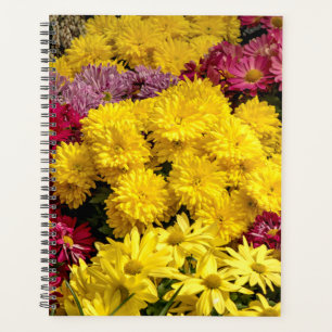 Agenda Flores de primavera 2024