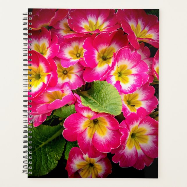Agenda Flores de primavera 2024 (Anverso)