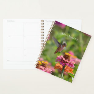 Agenda Flores de Zinnia Colibrí (mi fotografía)