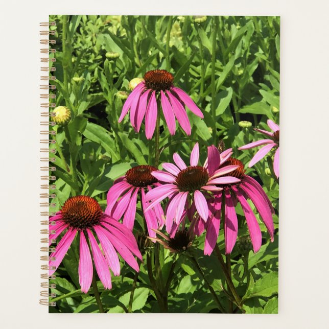 Agenda Flores en la bodega Chateau Morrisette, Floyd, VA (Anverso)