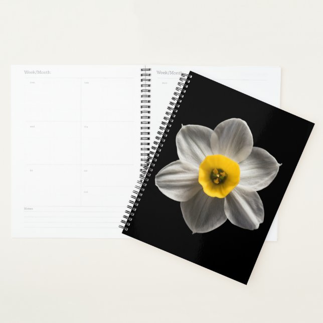 Agenda Flores | Flor de Daffodil blanca (Demostración)