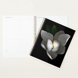 Agenda Flores Flor de magnolia blanca única