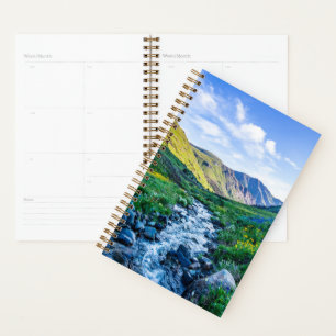 Agenda Flores   Flores silvestres en Colorado