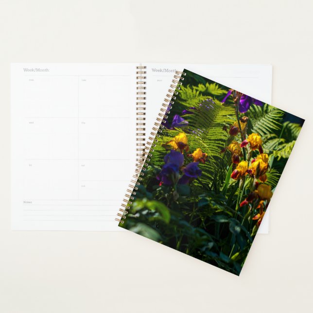 Agenda Flores Iris Sunny Flores Planta Fern Garden (Demostración)