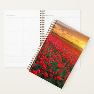 Agenda Flores   Jardín Botánico Holanda