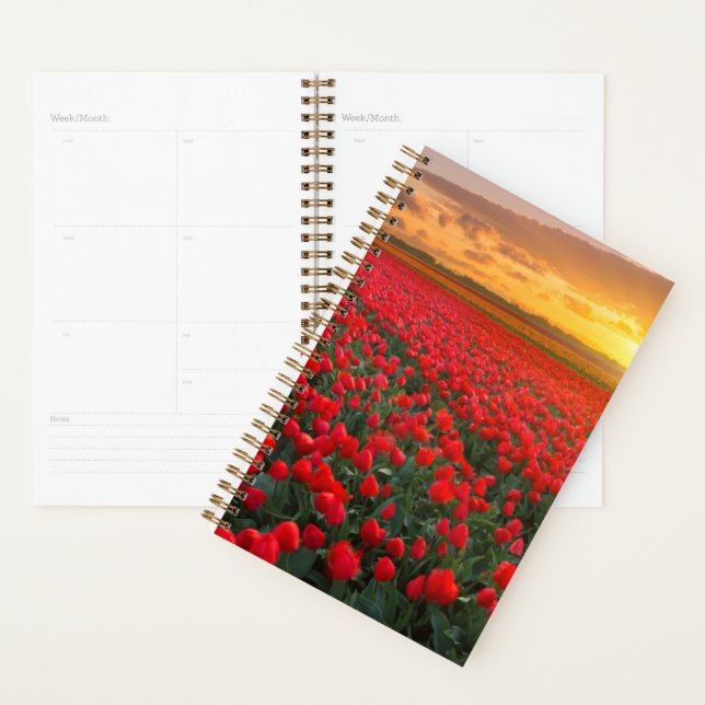 Agenda Flores | Jardín Botánico Holanda (Demostración)