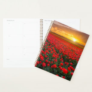 Agenda Flores   Jardín Botánico Holanda