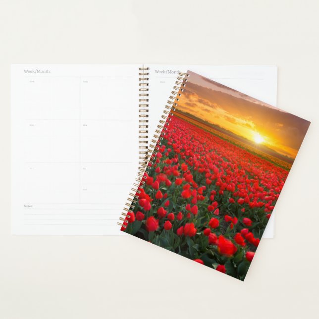 Agenda Flores | Jardín Botánico Holanda (Demostración)