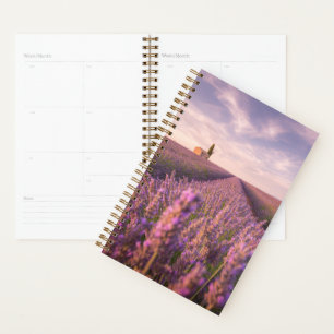 Agenda Flores   Lavender Southern France