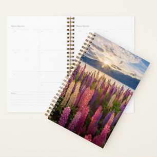 Agenda Flores Lupines New Zealand