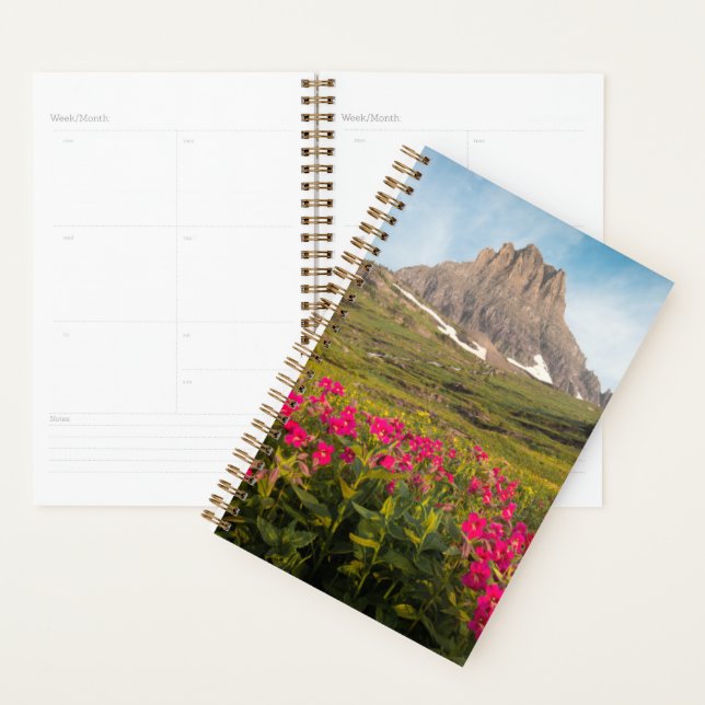 Agenda Flores | Parque nacional Glaciar de Montana (Demostración)