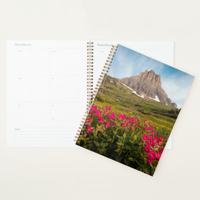 Agenda Flores | Parque nacional Glaciar de Montana (Demostración)