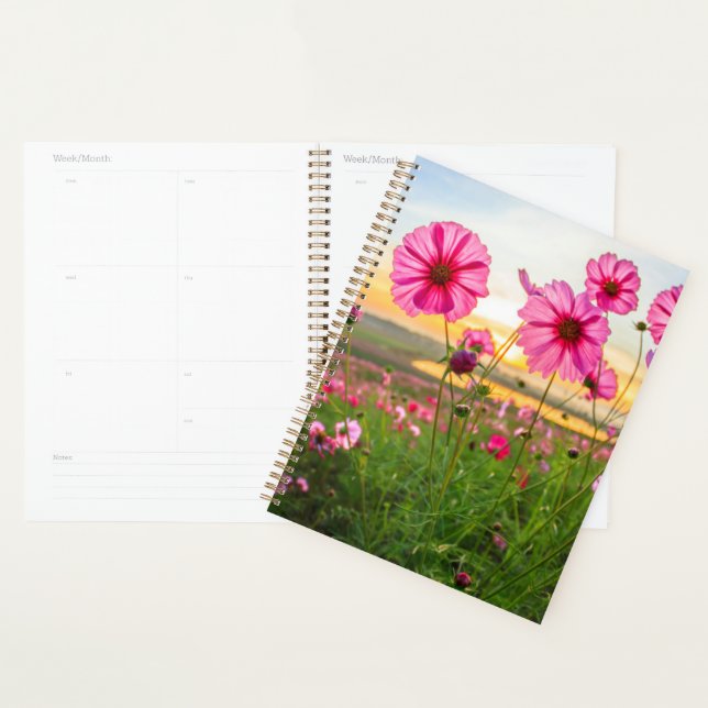 Agenda Flores |Provincia de Chiang Rai, Tailandia (Demostración)