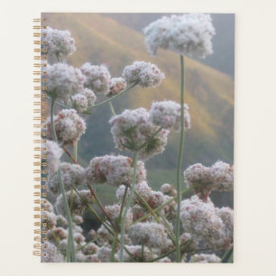 Agenda Flores silvestres