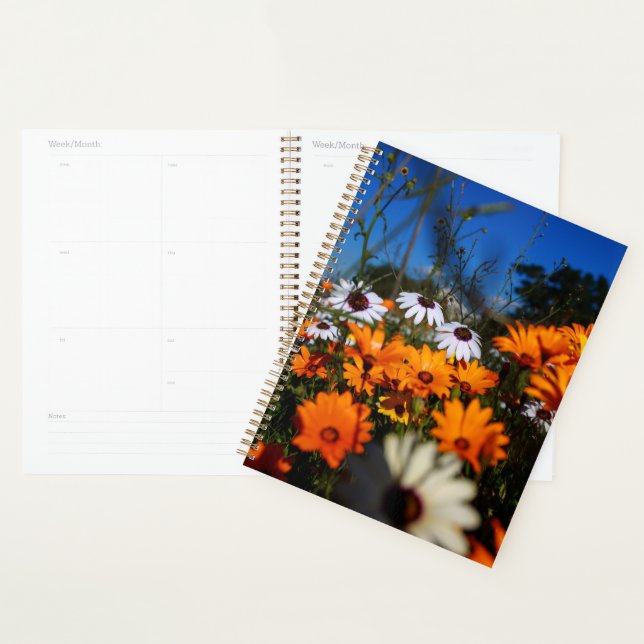 Agenda Flores silvestres de Namaqualand (Demostración)
