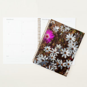 Agenda Flores silvestres de Velddrif de la Costa Oeste de