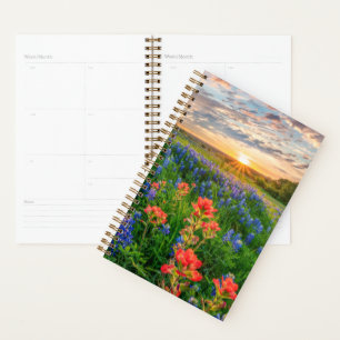 Agenda Flores   Texas Bluebonnets y pincel indio