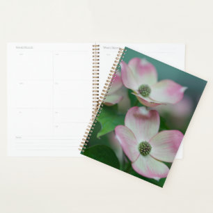 Agenda Flowers Dogwood Blossoms
