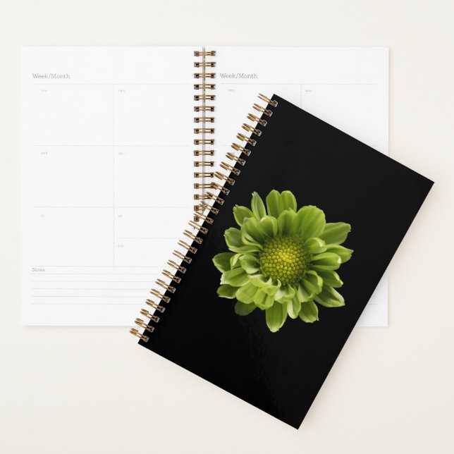 Agenda Flowers | Green Chrysanthemum (Demostración)