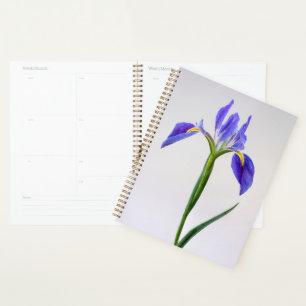 Agenda Flowers Purple Iris Flower