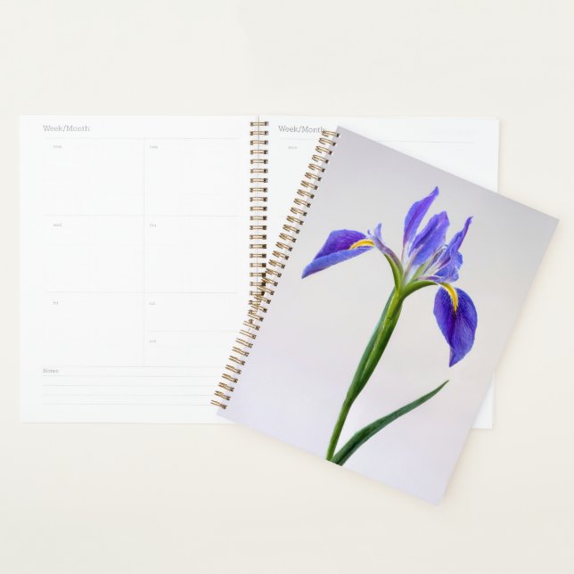 Agenda Flowers | Purple Iris Flower (Demostración)