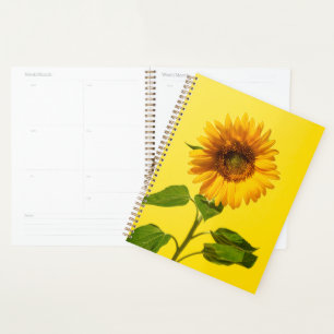 Agenda Flowers Sunflower on Yellow