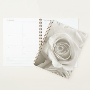 Agenda Flowers White Roses