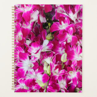 Agenda Fondo de flores de orquídea morada