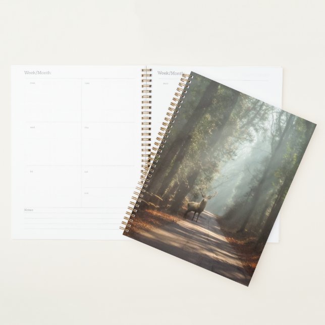 Agenda Forests | Woodland Stag (Demostración)