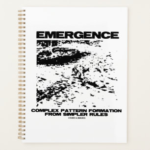 Agenda Formación de patrones complejos de emergencia desd