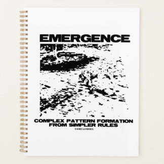Agenda Formación de patrones complejos de emergencia desd
