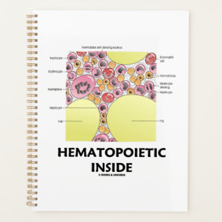 Agenda Formación hematopoyética dentro de células sanguín
