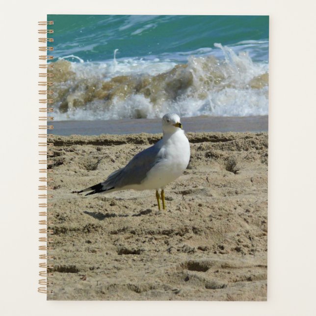 Agenda Fort Lauderdale, Florida (Anverso)