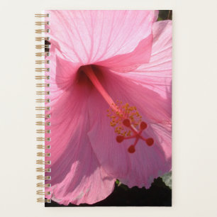 Agenda Foto de arte fino de Hibisco Rosa Hawaiano