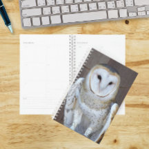 Foto de Barn Owl Raptor